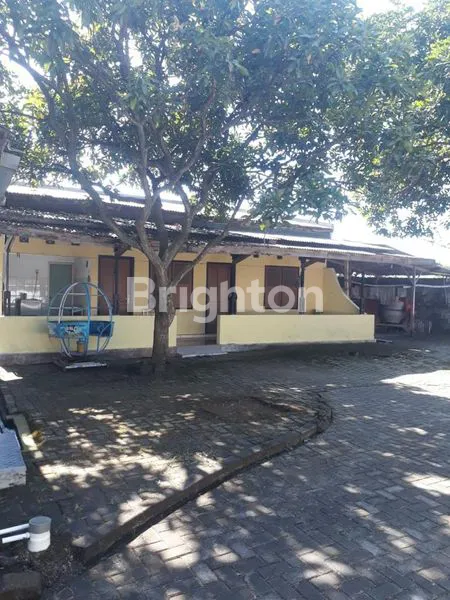 image TANAH LUASS BONUS RUMAH NYAMAN SIAP HUNI (1)
