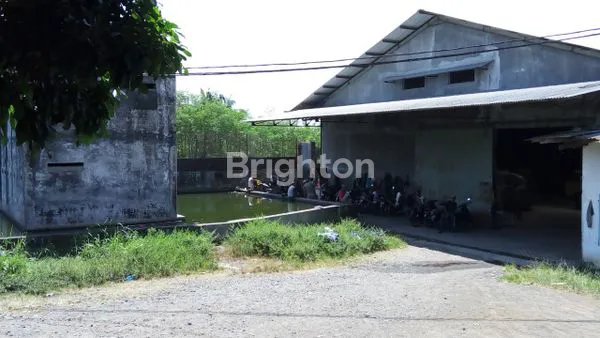 image GUDANG BONDOWOSO  (3)