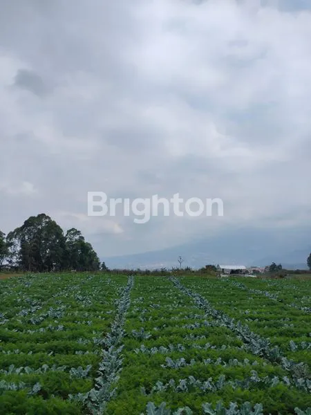 image TANAH LUASS MURAH STRATEGIS BATU (1)