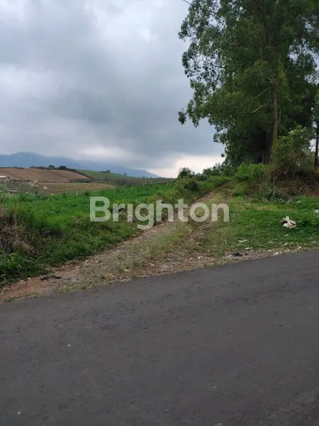 image TANAH LUASS MURAH STRATEGIS BATU (6)