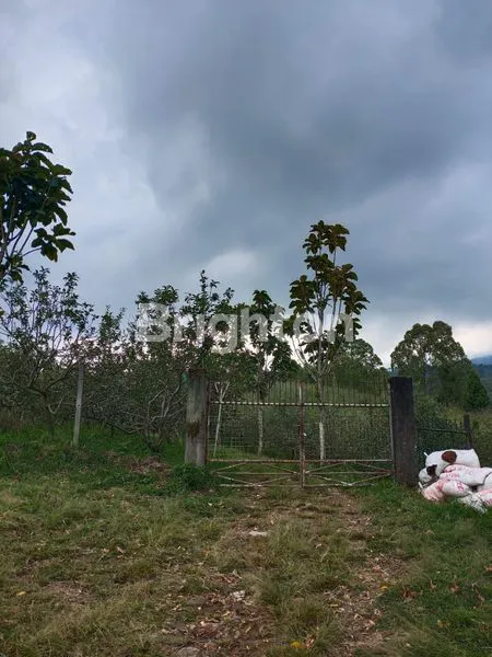 image TANAH LUASS MURAH STRATEGIS BATU (7)