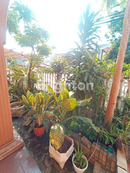 image RUMAH DI KEBAYORAN LAMA (6)