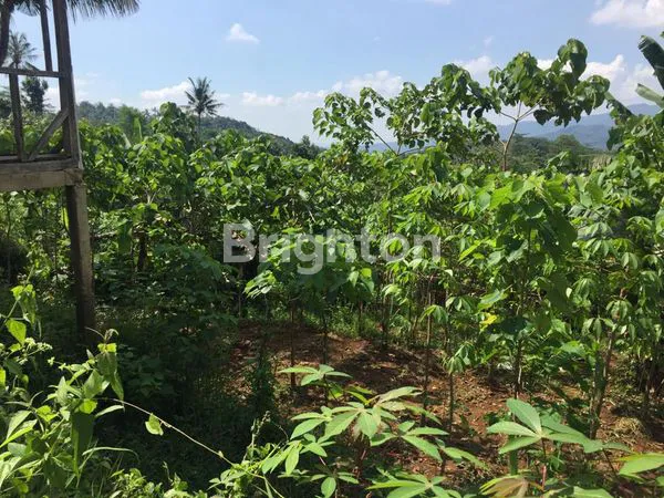 image TANAH DAN KEBUN (3)