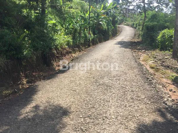 image TANAH DAN KEBUN (5)