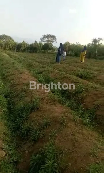 image TANAH YANG SANGAT ASRIHARGA SANGAT TERJANGKAU, COCOK BISA BUAT VILLA ,PERUM ,KAPLINGAN  DAN PERTOKOAN (2)