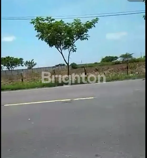 TANAH INDUSTRI WIDANG TUBAN