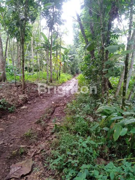 image TANAH PEKARANGAN LOKASI DEKAT KOTA MANDIRI BSB MIJEN SEMARANG (5)