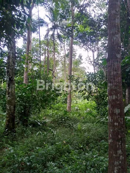 image TANAH PEKARANGAN LOKASI DEKAT KOTA MANDIRI BSB MIJEN SEMARANG (4)