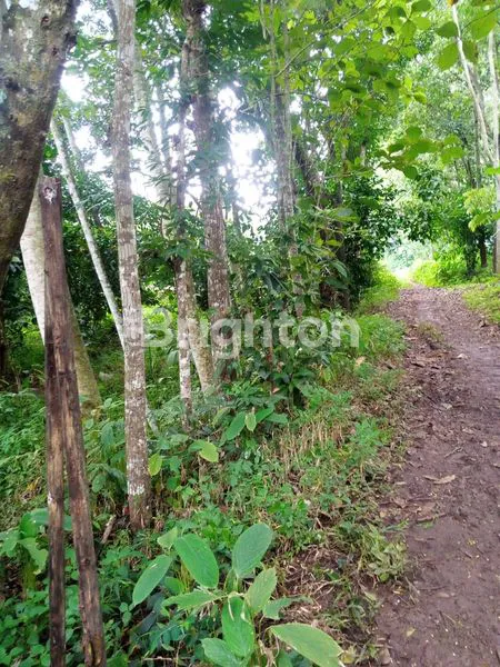 image TANAH PEKARANGAN LOKASI DEKAT KOTA MANDIRI BSB MIJEN SEMARANG (1)