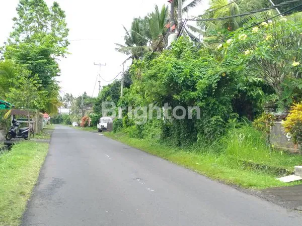 image TANAH UNTUK SEGALA USAHA / COCOK UNTUK PERUMAHAN (1)