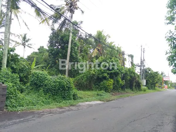 image TANAH UNTUK SEGALA USAHA / COCOK UNTUK PERUMAHAN (3)