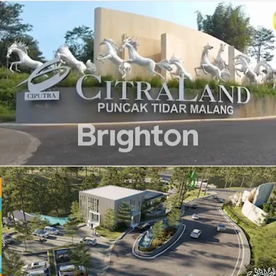 image CLUSTER BLUE AQUA TYPE AMETRINE CITRALAND PUNCAK TIDAR (5)