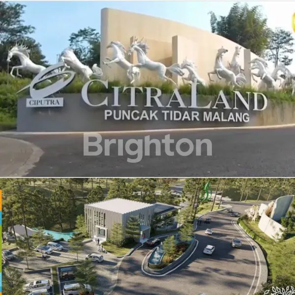 image CLUSTER BLUE AQUA TYPE AZURITE SPLIT CITRALAND PUNCAK TIDAR (5)