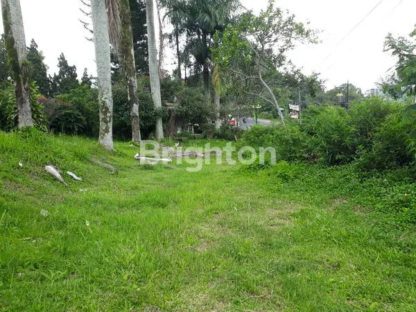 image VILLA DI CIPANAS. HANYA HITUNG TANAH (7)