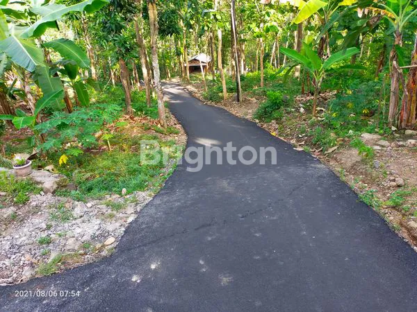 image TANAH AREAL KAMPUS UNDIP DAN UNNES SANGAT SETRATEGIS UNTUK USAHA KOST DAN TEMPAT TINGGAL (4)