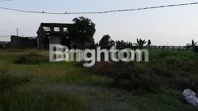 TANAH PINGGIR JALAN PROPINSI