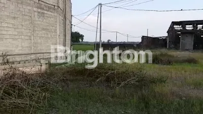 image TANAH PINGGIR JALAN PROPINSI (5)