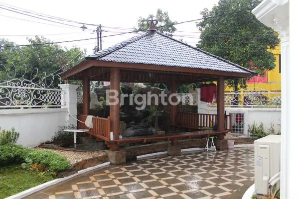 image BILLY MOON (7)