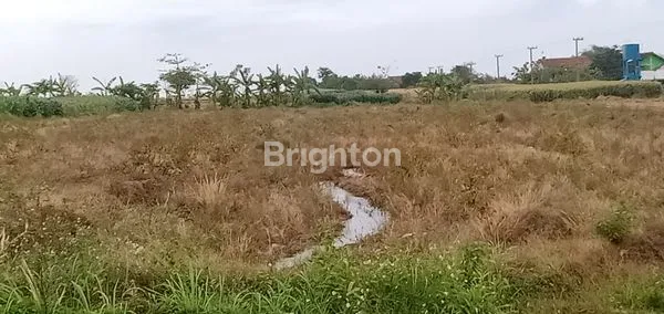 Gambar Property TANAH PACET MOJOKERTO