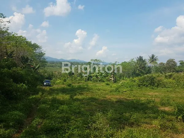 image TANAH LUAS DI WONOSOBO JAWA TENGAH. (5)