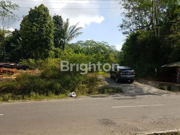 image TANAH LUAS DI WONOSOBO JAWA TENGAH. (6)