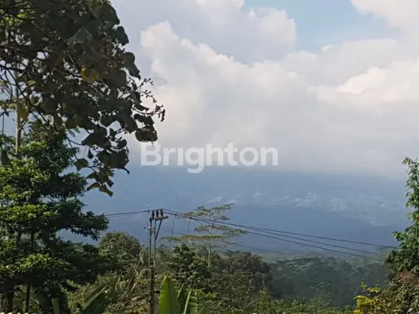 image TANAH LUAS DI WONOSOBO JAWA TENGAH. (1)
