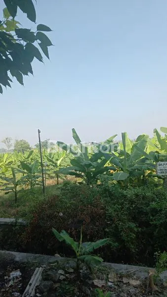 Gambar Property TANAH TULANGAN SIDOARJO