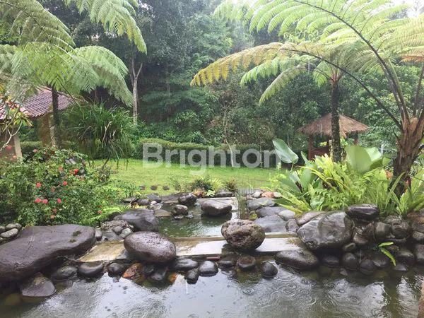 image VILLA CANTIK, TERAWAT DI PUNCAK, ADA KOLAM RENANG, BANGUNAN 3 LANTAI DI BOGOR (8)