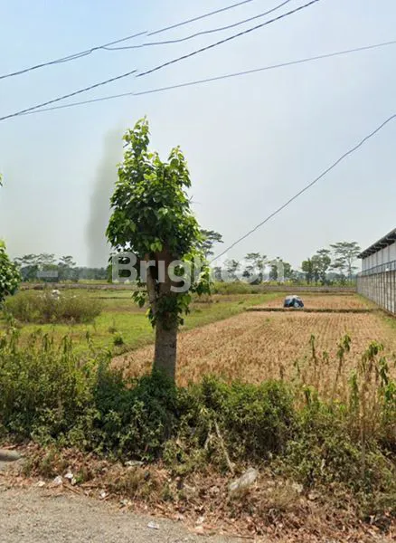 image TANAH LUAS JALAN POROS KEPANJEN (1)