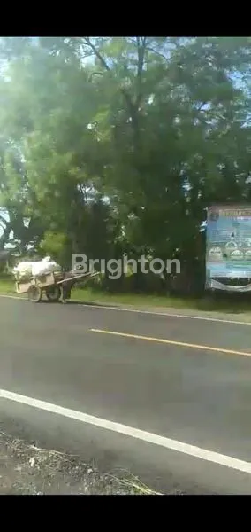 image TANAH DI LOKASI RY PROVINSI SOLO - NGAWI STRATEGIS DEPAN RUMAH MAKAN DUTA DAN DEKAT TOL EXIT NGAWI (3)