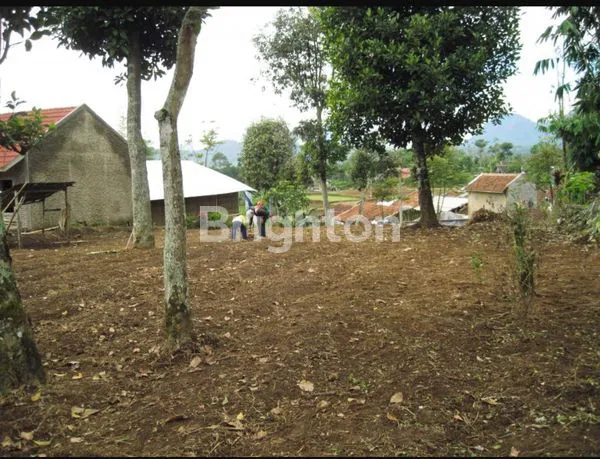 TANAH SIAP BANGUN UNTUK VILLA ATAU RUMAH LOKASI STRATEGIS