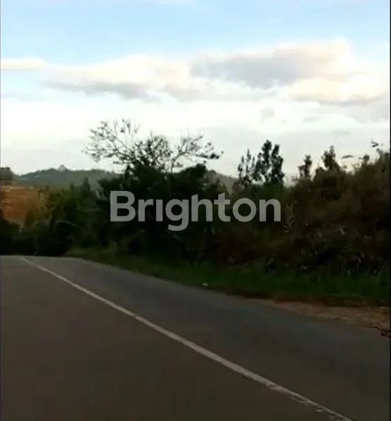 TANAH 3,5 HA DI JAYAPURA