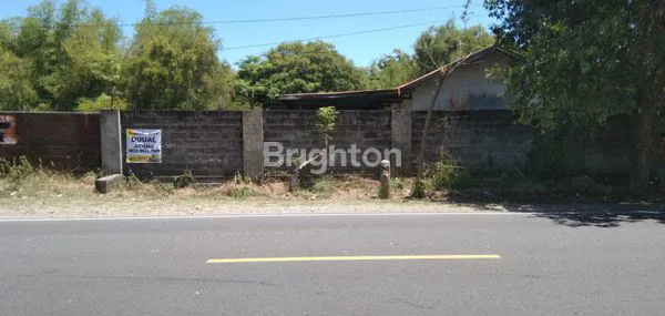 image TANAH 0 RAYA PAMEKASAN SUMENEP COCOK BUAT GUDANG ATAU USAHA (2)