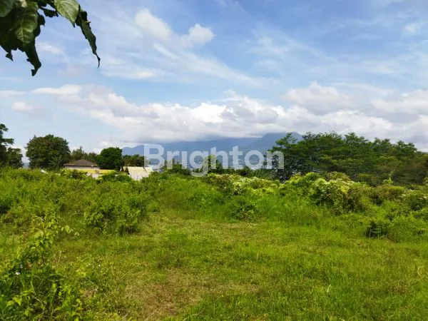 image PEMANDANGAN INDAH HAWA SEJUK COCOK UNTUK CAFE DG KONSEP ALAM PEGUNUNGAN MEMANJAKAN MATA, MENENANGKAN JIWA (1)