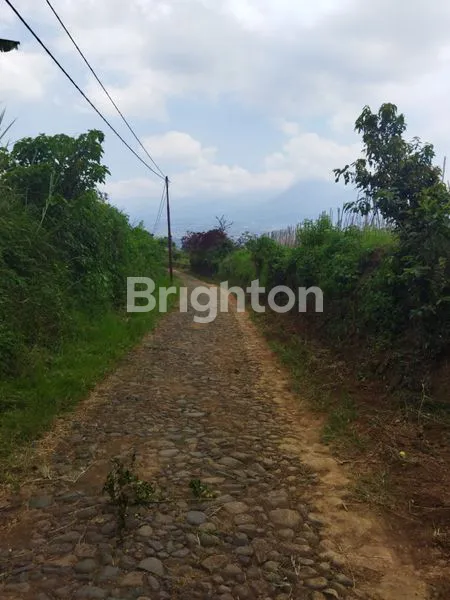 image PEMANDANGAN INDAH HAWA SEJUK COCOK UNTUK CAFE DG KONSEP ALAM PEGUNUNGAN MEMANJAKAN MATA, MENENANGKAN JIWA (5)
