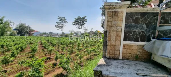 image RUMAH MEWAH DI VILLA TIDAR ESTATE. LINGKUNGAN ASRI DAN AMAN (5)