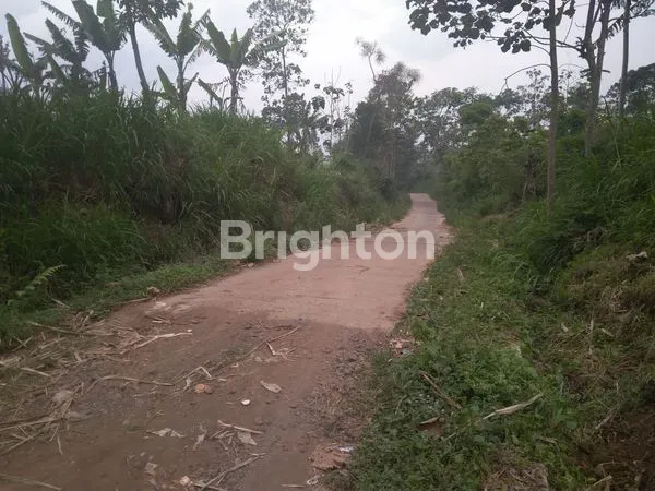 image TANAH KEBUN DS PRODO DS KLAMPOK (2)