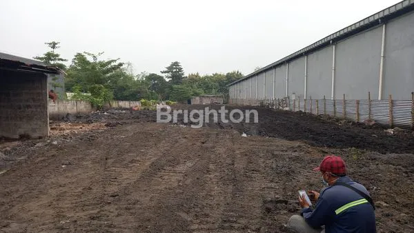 image VENDOR BUJUAL TANAH MOJOSARI (3)