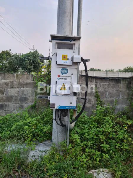 image VENDOR BUJUAL TANAH MOJOSARI (5)