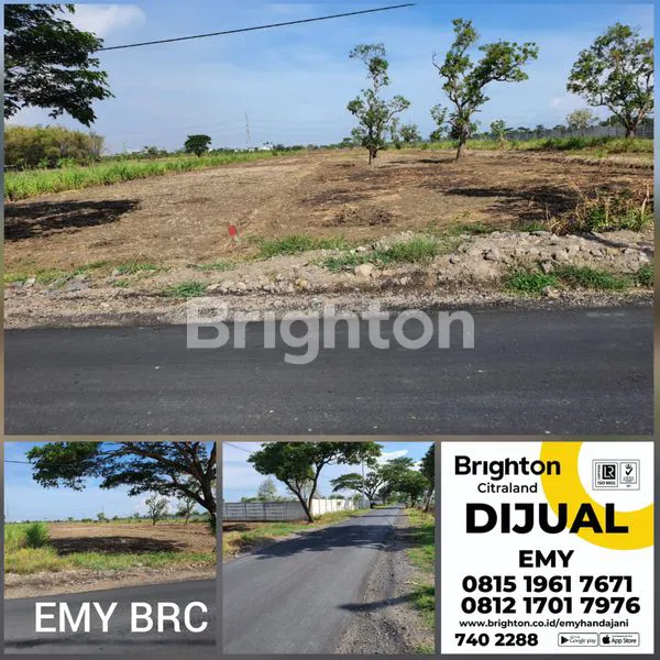 image KAVLING MURAH DI DRIYOREJO (1)