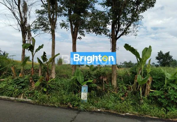 TANAH LUAS MURAH NOL JALAN RAYA 10 MENIT DARI SOEHAT SANGAT STATEGIS ( NEGO )