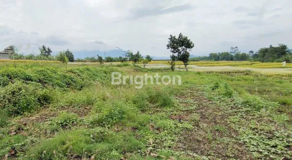 image TANAH LUAS MURAH NOL JALAN RAYA 10 MENIT DARI SOEHAT SANGAT STATEGIS ( NEGO ) (2)