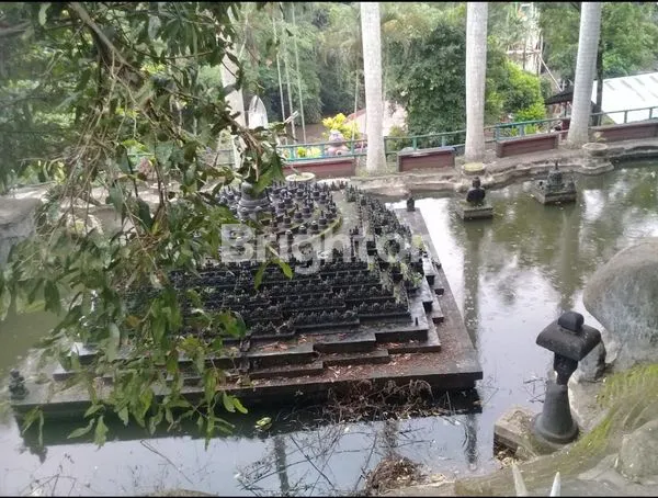 image TELOGO MAS WATERPARK MALANG (3)