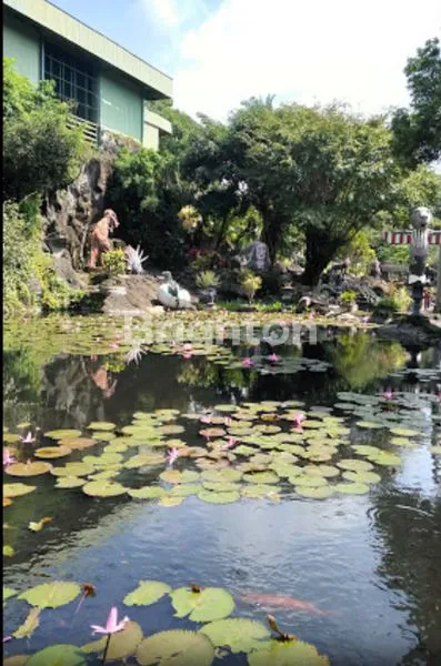 image TELOGO MAS WATERPARK MALANG (8)