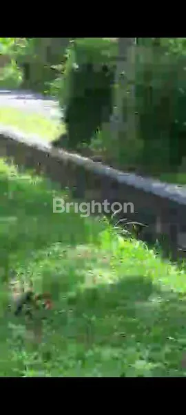 image TANAH SIAP BANGUN - DEKAT BOROBUDUR (3)