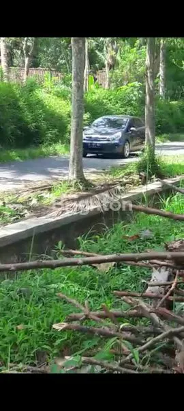 image TANAH SIAP BANGUN - DEKAT BOROBUDUR (6)