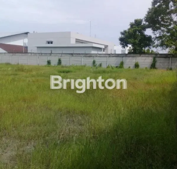 image TANAH RAYA PILANG (1)