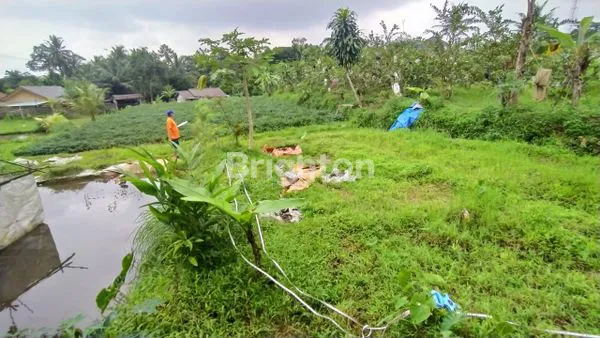image TANAH DI DAERAH CIAPUS (3)