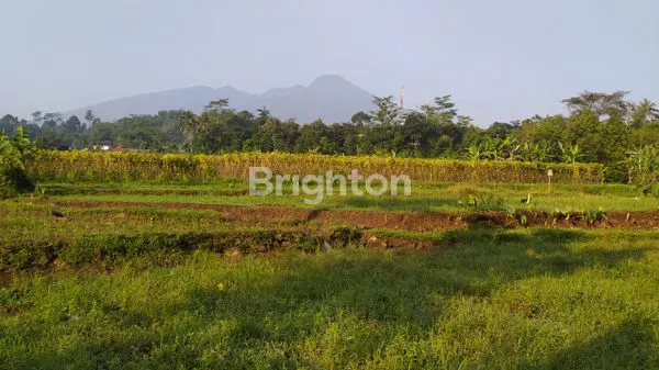 image TANAH DI DAERAH CIAPUS (2)