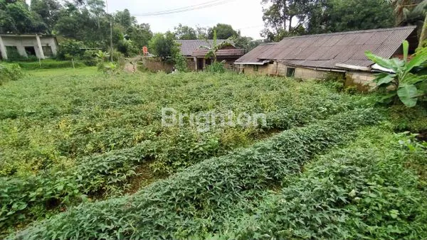 image TANAH DI DAERAH CIAPUS (7)